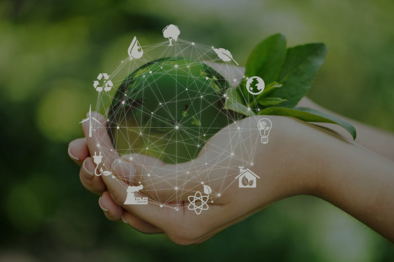 NET4CO2 proudly joins the ALGEMAR and IMMAGE projects