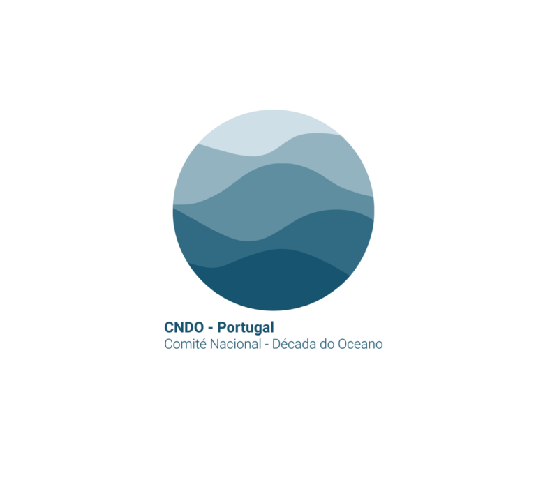 CoLAB NET4CO2 Joins the National Committee for the UN Decade of Ocean Science
